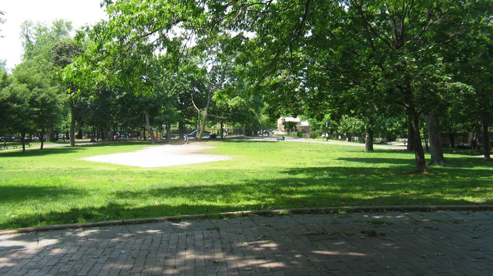 Brower Park Lawn Showing compaction caused balding