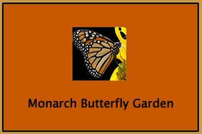 monarchButterfly2